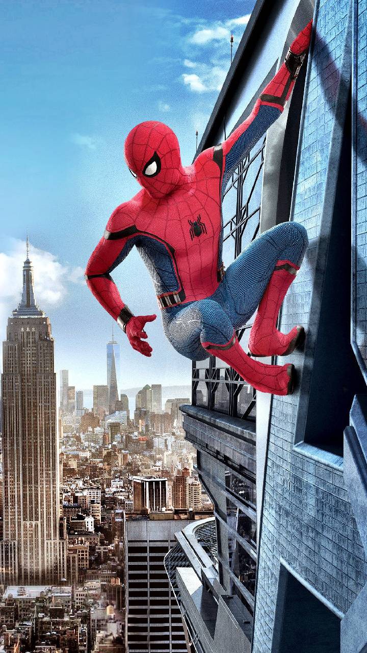 他们在相爱 推荐视频