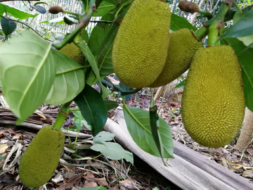 只差一个你 推荐视频