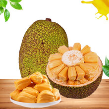 你是我的牵挂 产品图片