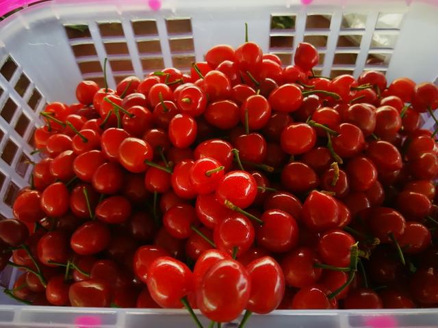 但是想结婚！BL漫画家的别扭婚活记 推荐视频