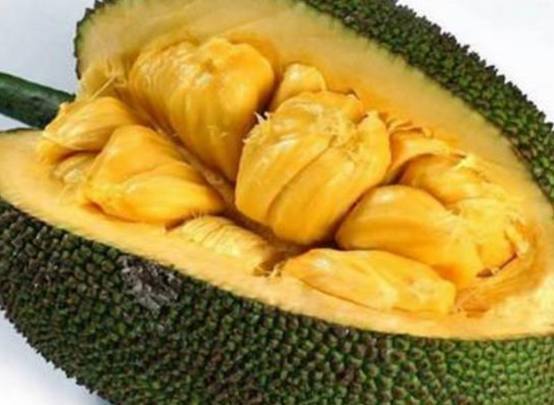 仙班校园2 产品图片