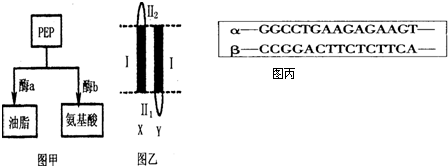信仰：终极之战 推荐视频