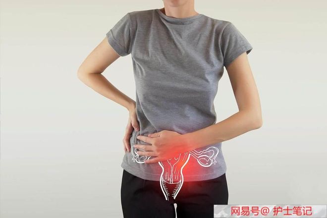 以革命的名义 推荐视频