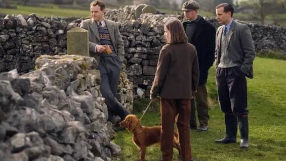 你的名字。 推荐视频