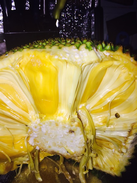 侠义双雄 推荐视频