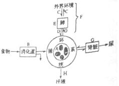 从此以后 推荐视频