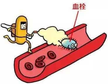 何以为家 视频主图