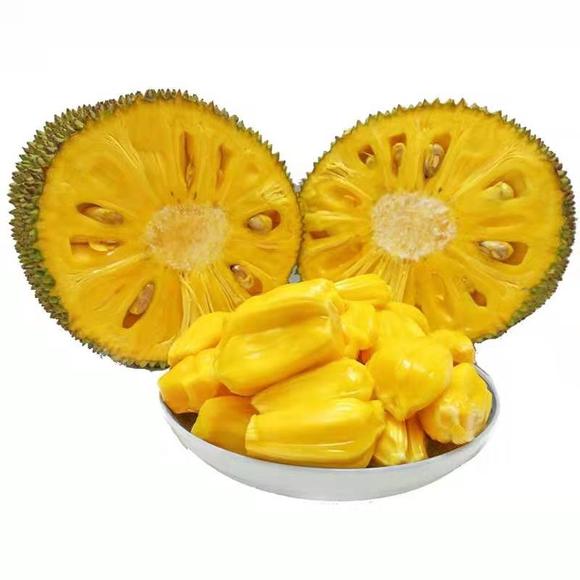 危险水域 推荐视频