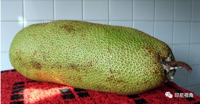 圣殿奇妙夜 推荐视频