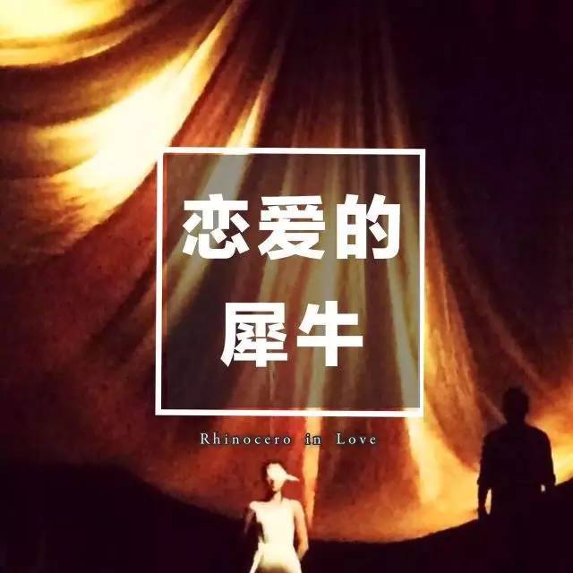 何日君再来 推荐视频