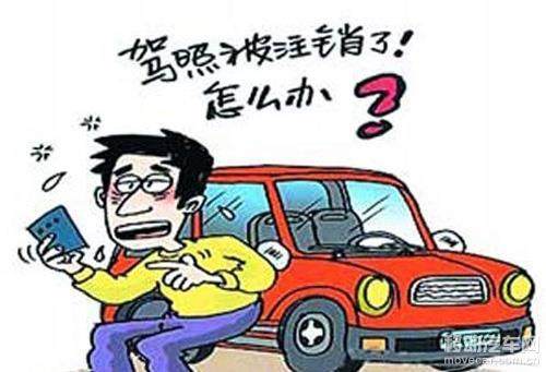 伞少女 推荐视频