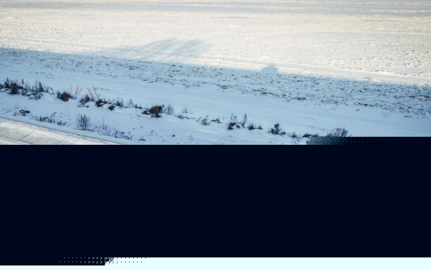 他人之痛 产品图片