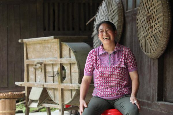 南极之恋 视频主图