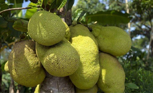 仁慈医院 推荐视频