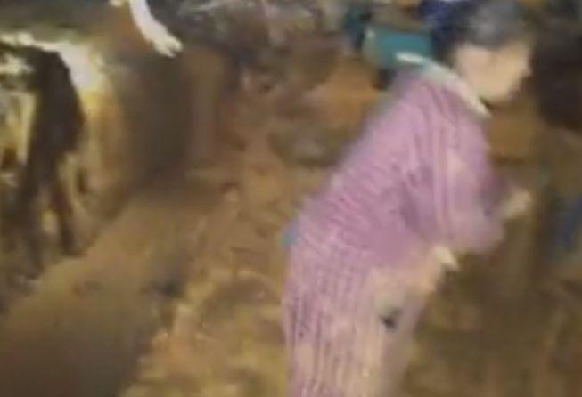 再见，残酷的世界 推荐视频