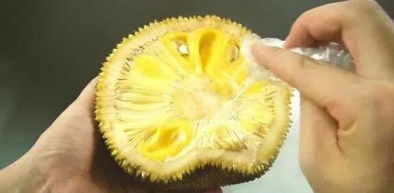 假面骑士极狐：4位王者与黑狐 推荐视频