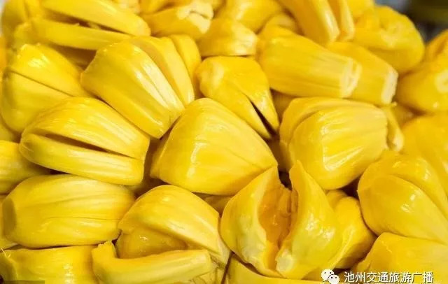 双子酒廊 推荐视频