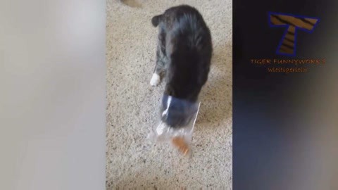 人鬼情未了 推荐视频