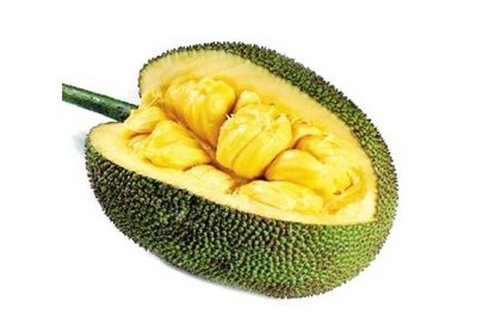 低俗青春 推荐视频