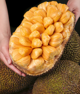 伴你高飞1998 推荐视频