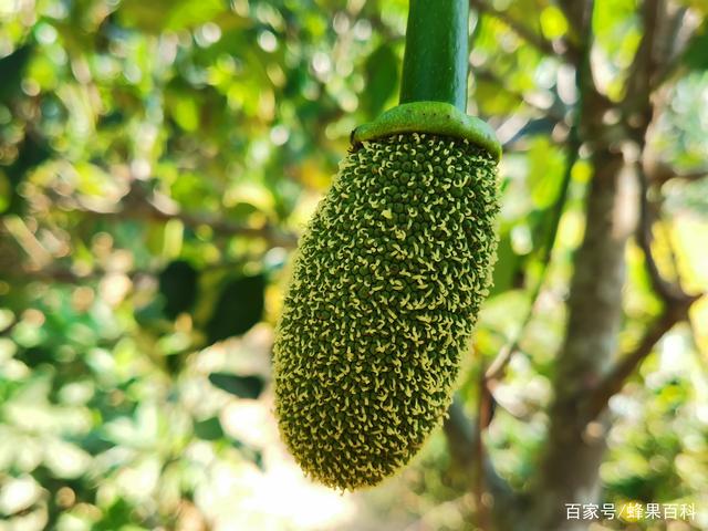 余生那些年 国语版 推荐视频