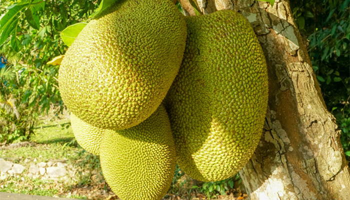 不露声色 视频主图