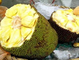 假日惊情 推荐视频