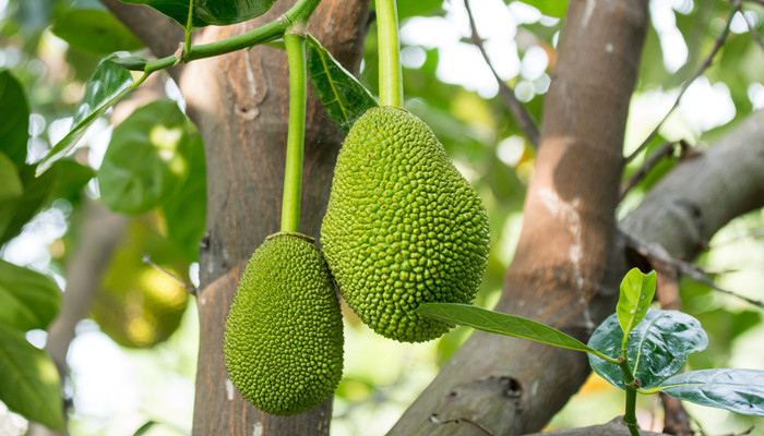 傻傻爱你，傻傻爱我 视频主图