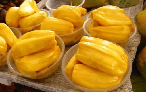 僵尸大时代 产品图片