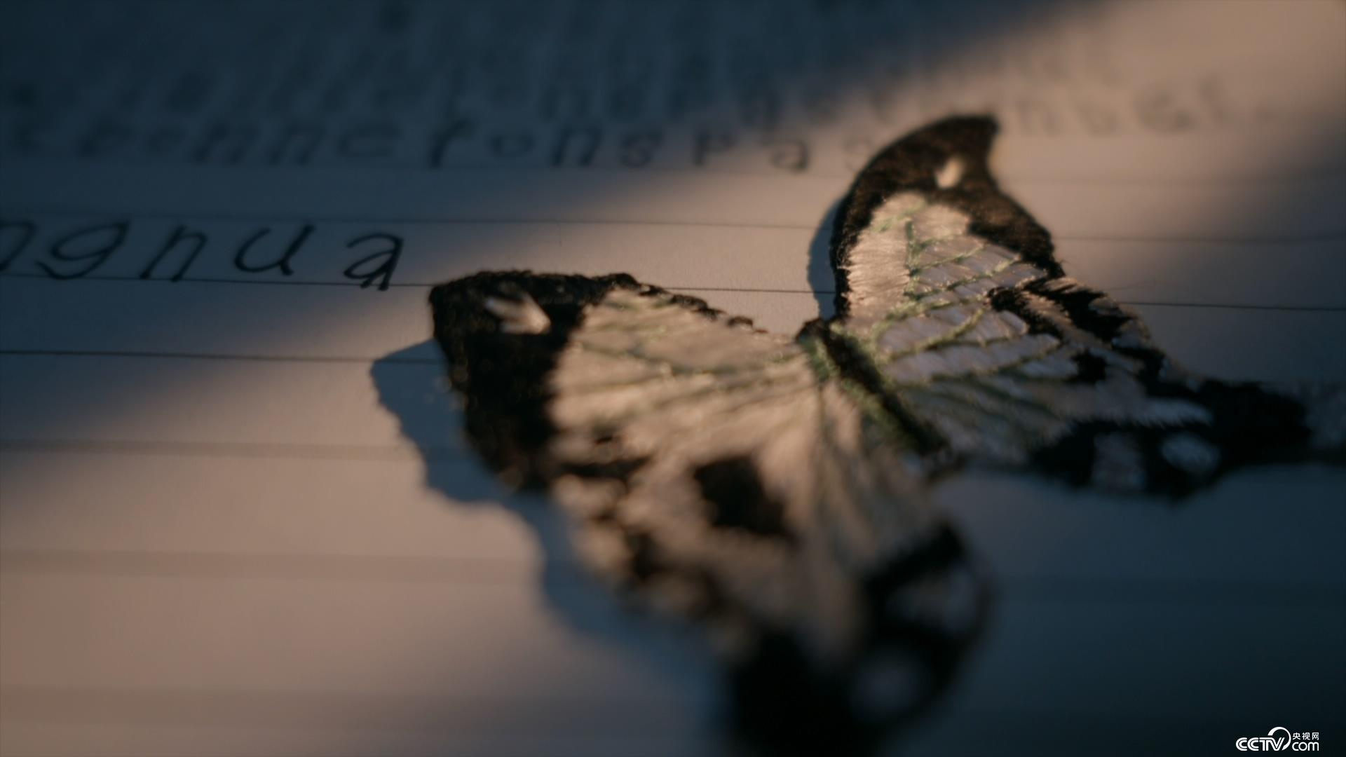 假死新人生 推荐视频