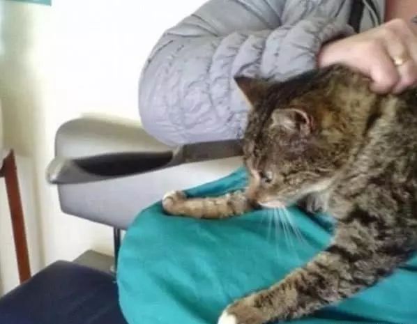 命中注定遇见你 推荐视频