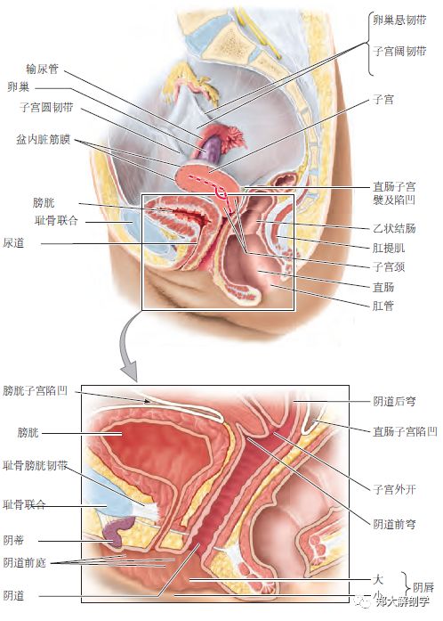 地心引力 推荐视频