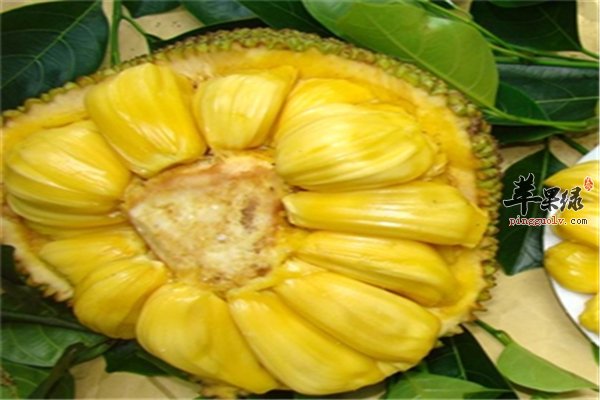 发财秘笈 推荐视频