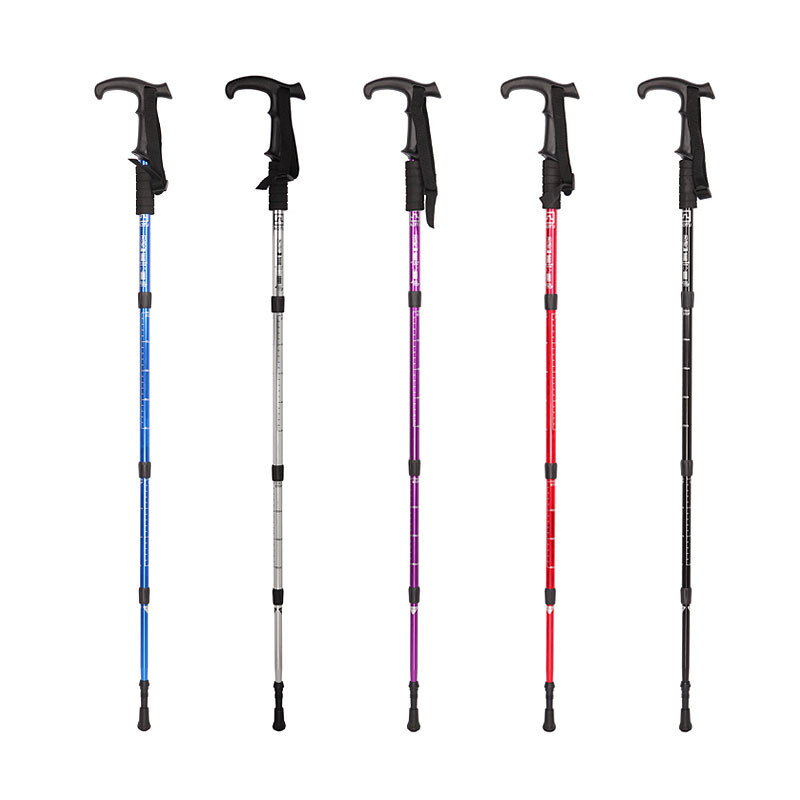 健身狂杀手 推荐视频