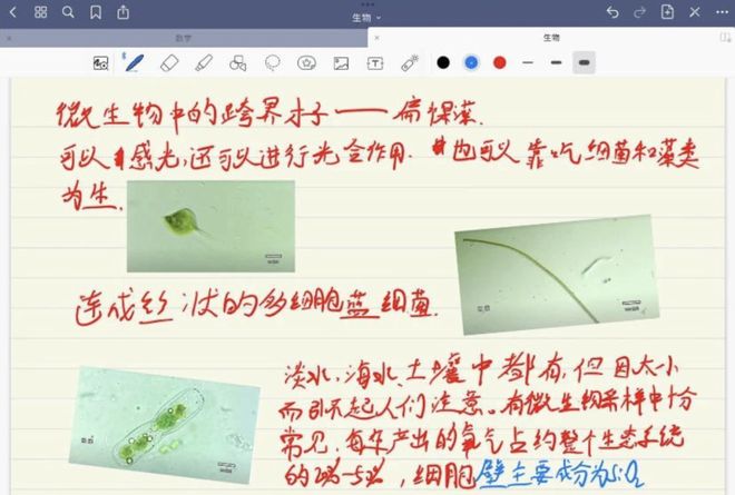 催眠·裁决 推荐视频