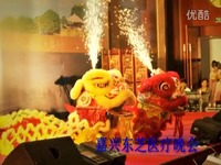 侠胆医心之危机重重 推荐视频