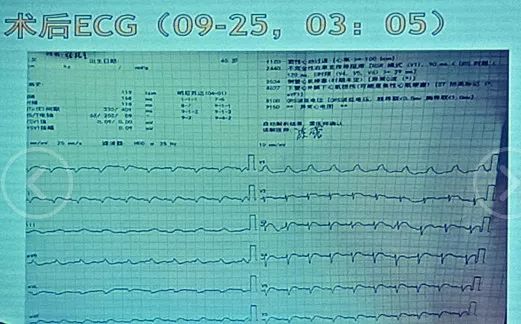 偷渡者 产品图片