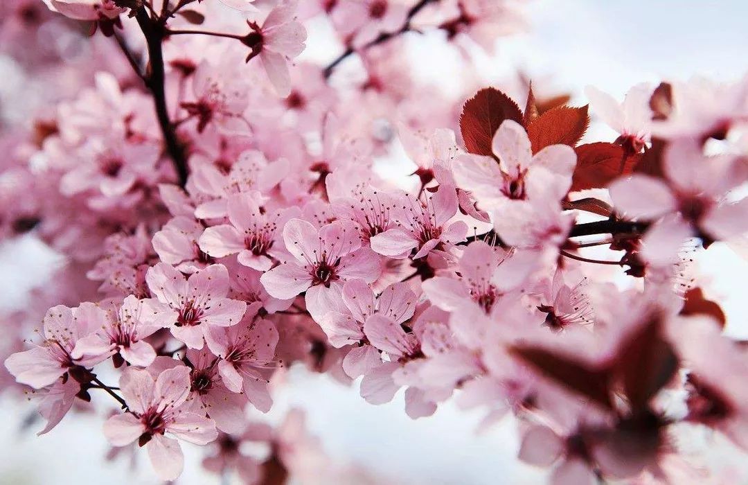 写在大地上的诗 推荐视频