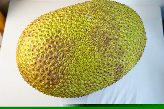 僵尸2013 产品图片