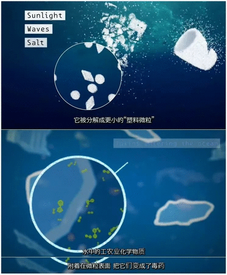 优雅的谎言 推荐视频