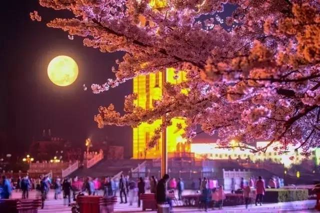 任长霞 推荐视频