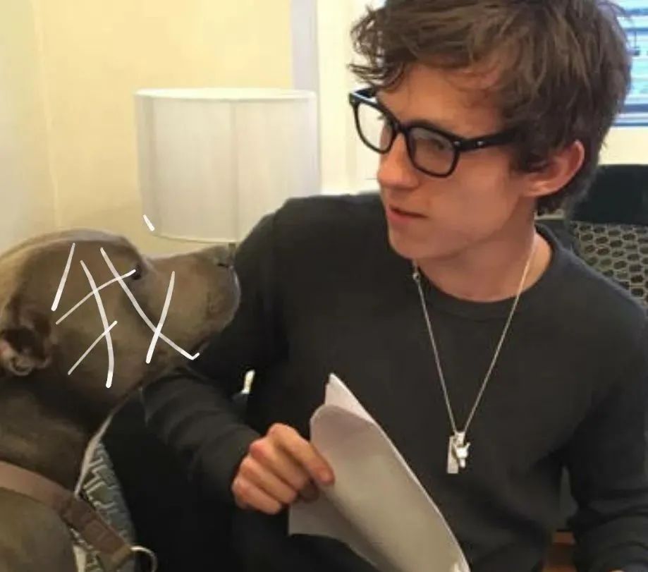 写在大地上的诗 推荐视频