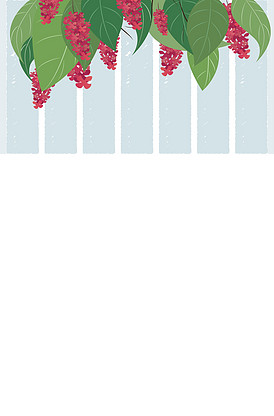 仿造者 产品图片