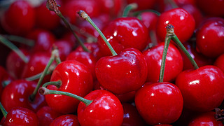 偷破天际线 推荐视频