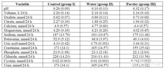 保安刘十八 推荐视频