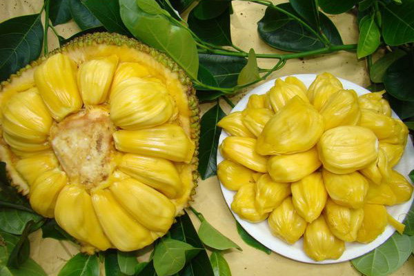 你若安好 推荐视频