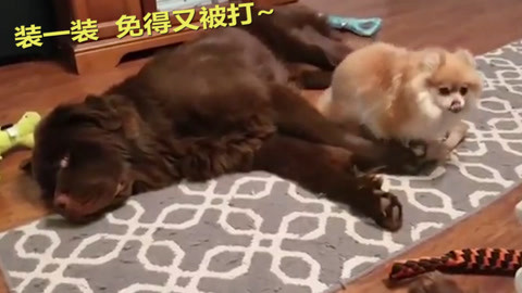 原以为命中注定的恋爱不会发生在我身上