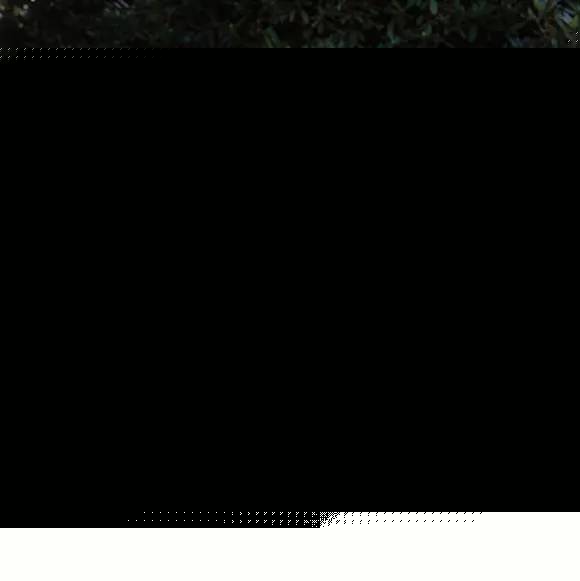 偷心响叮当 推荐视频