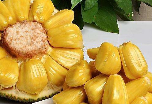 夏日里的格里芬 视频主图