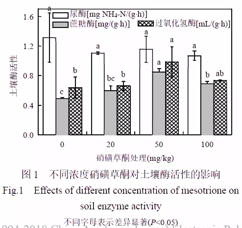 仙医神厨3 推荐视频
